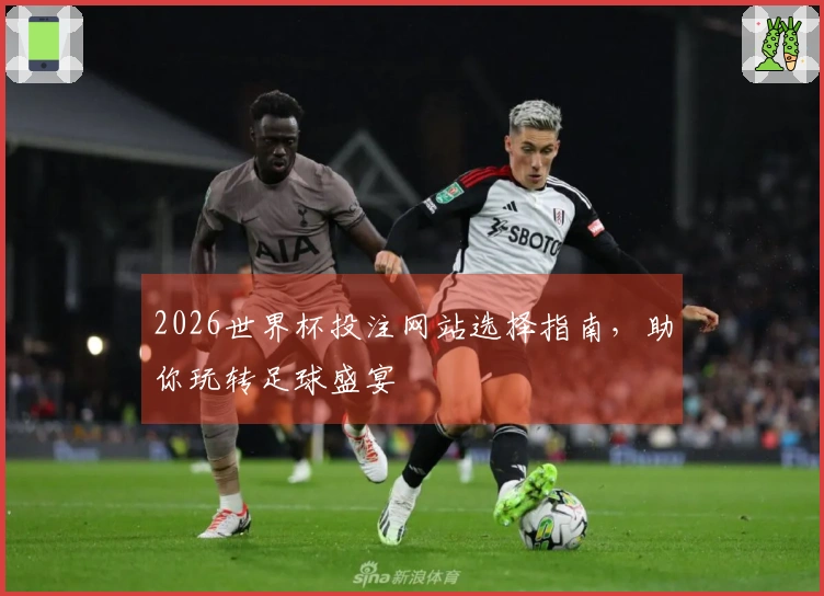2026世界杯投注网站选择指南，助你玩转足球盛宴