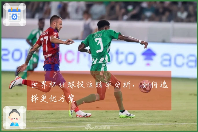 世界杯让球投注赔率分析，如何选择更优方案